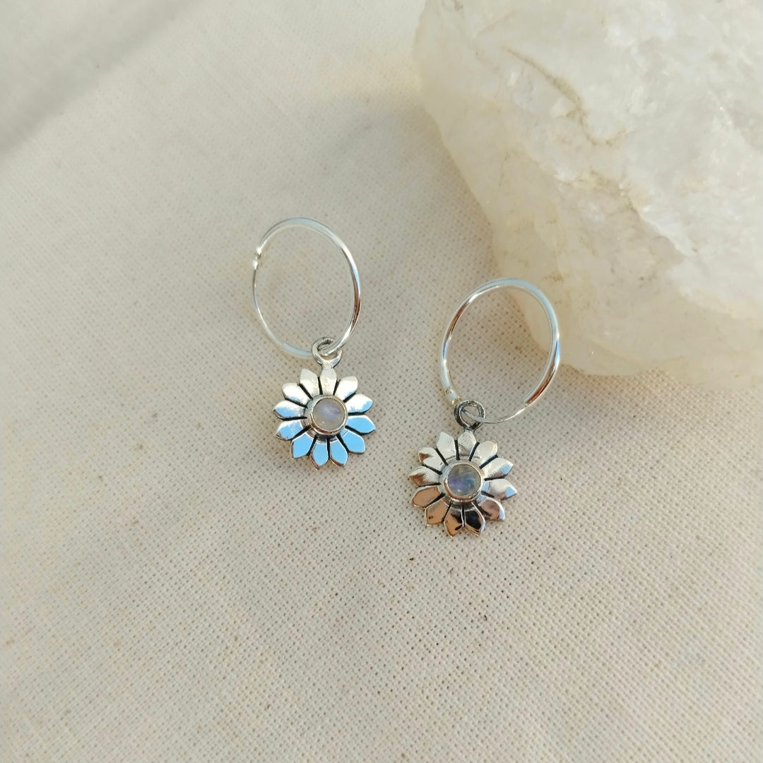 AROS ARGOLLAS FLORECER